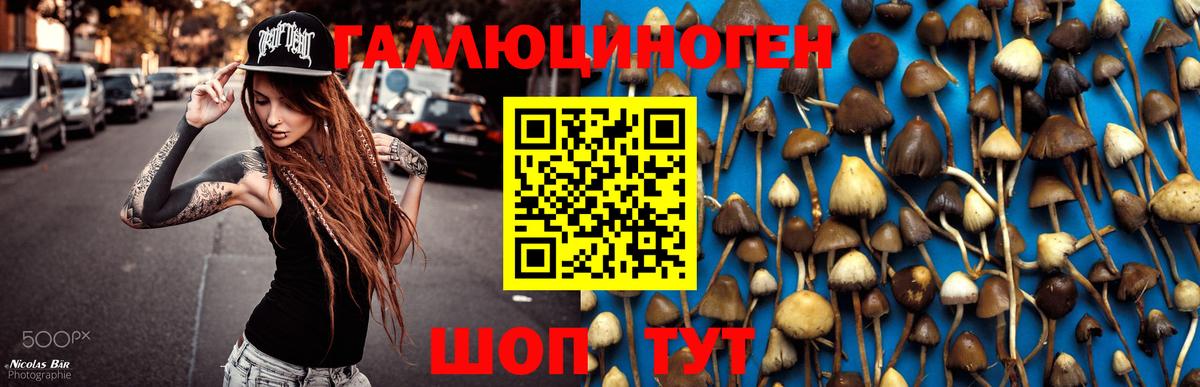 Холмск  Псилоцибиновые грибы MAGIC MUSHROOMS  Псилоцибиновые грибы мухоморы  Вход с VPN 