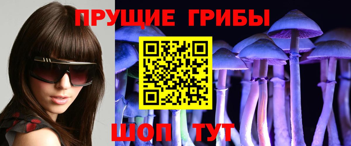 Галлюциногенные грибы Psilocybine cubensis Холмск
